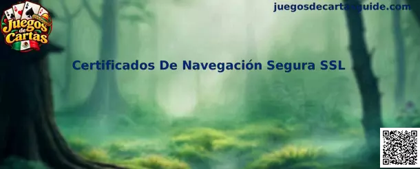Ilustración sobre certificados SSL, conexión HTTPS y navegación segura en plataformas de Juegos de Cartas